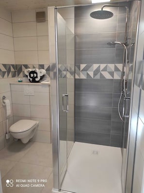Shower, hair dryer, toilet paper