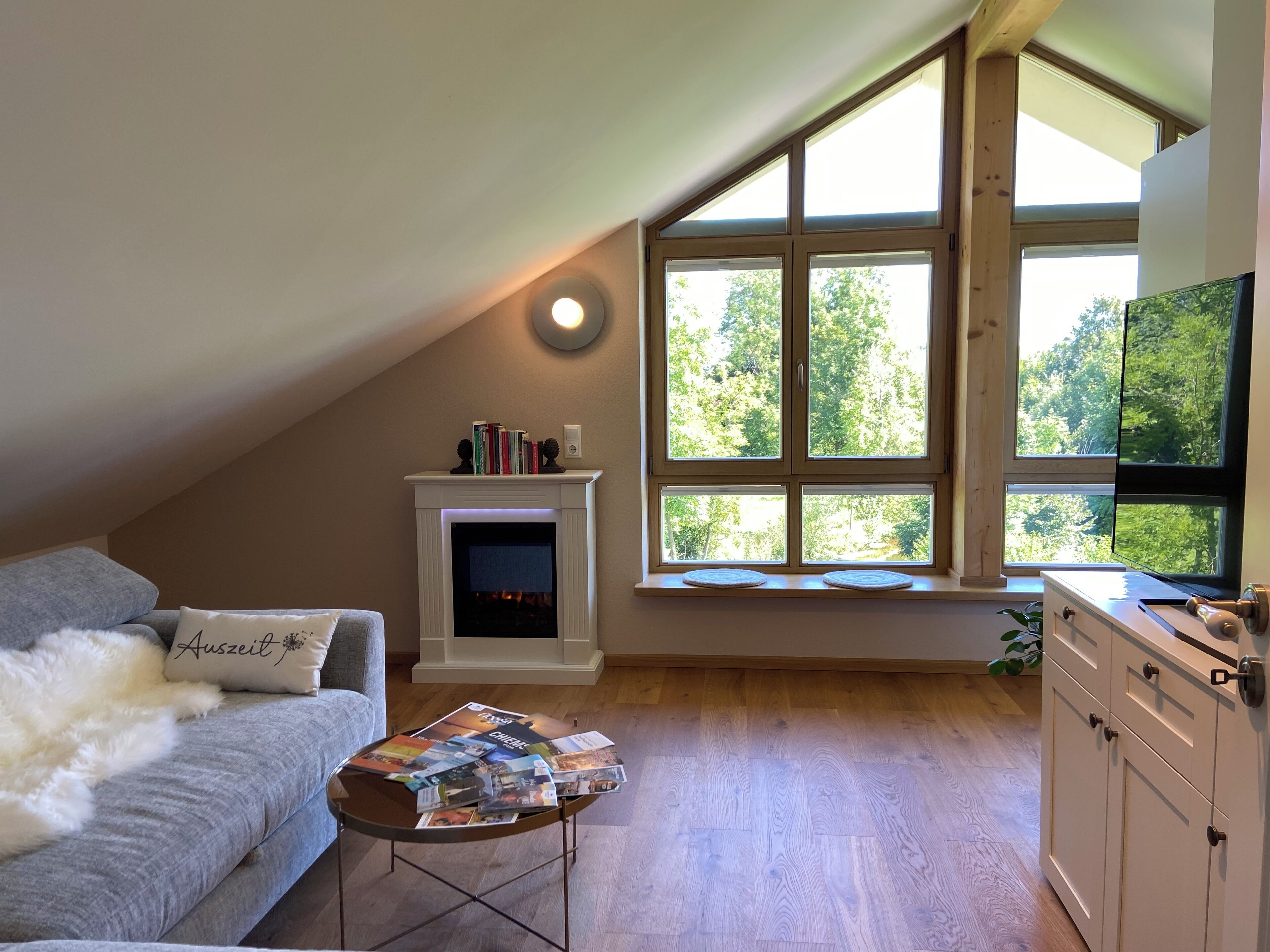 TV, fireplace, books