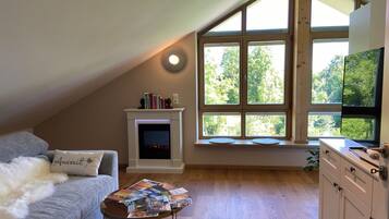 Fernseher, Kamin, Bücher