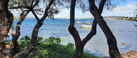 Playa en los alrededores