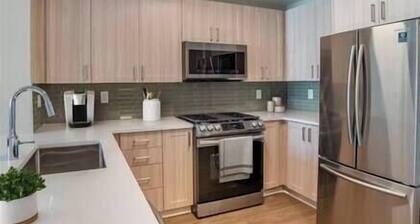 Longer Term Luxury Penn Quarter Downtown DC No Short Term Stay Allowed