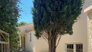 Ein gepflasterter Weg, der zu einem Gebäude mit einem Baum in der Mitte führt.