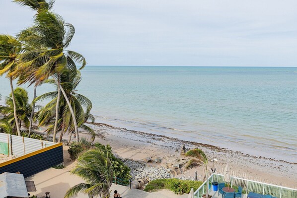 A beach view with palm trees, a sandy shore, and a building with outdoor seating.