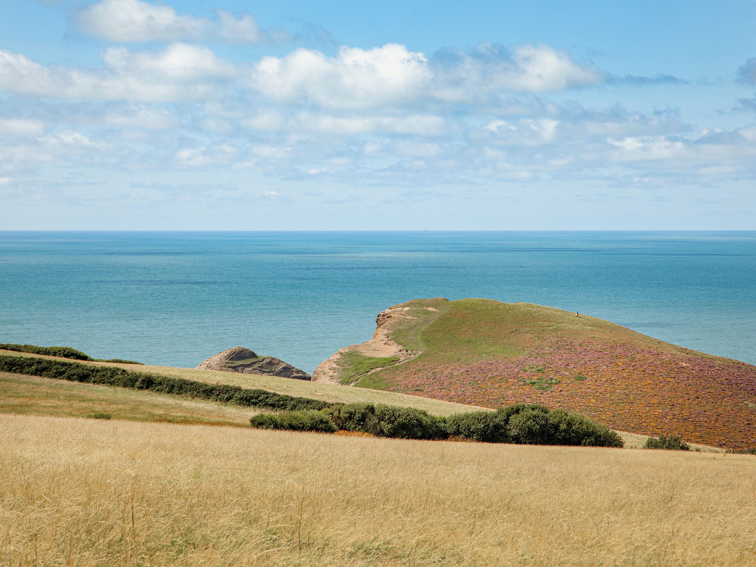 A coastal landscape with a grassy field, a rocky outcrop, and the sea in the background.