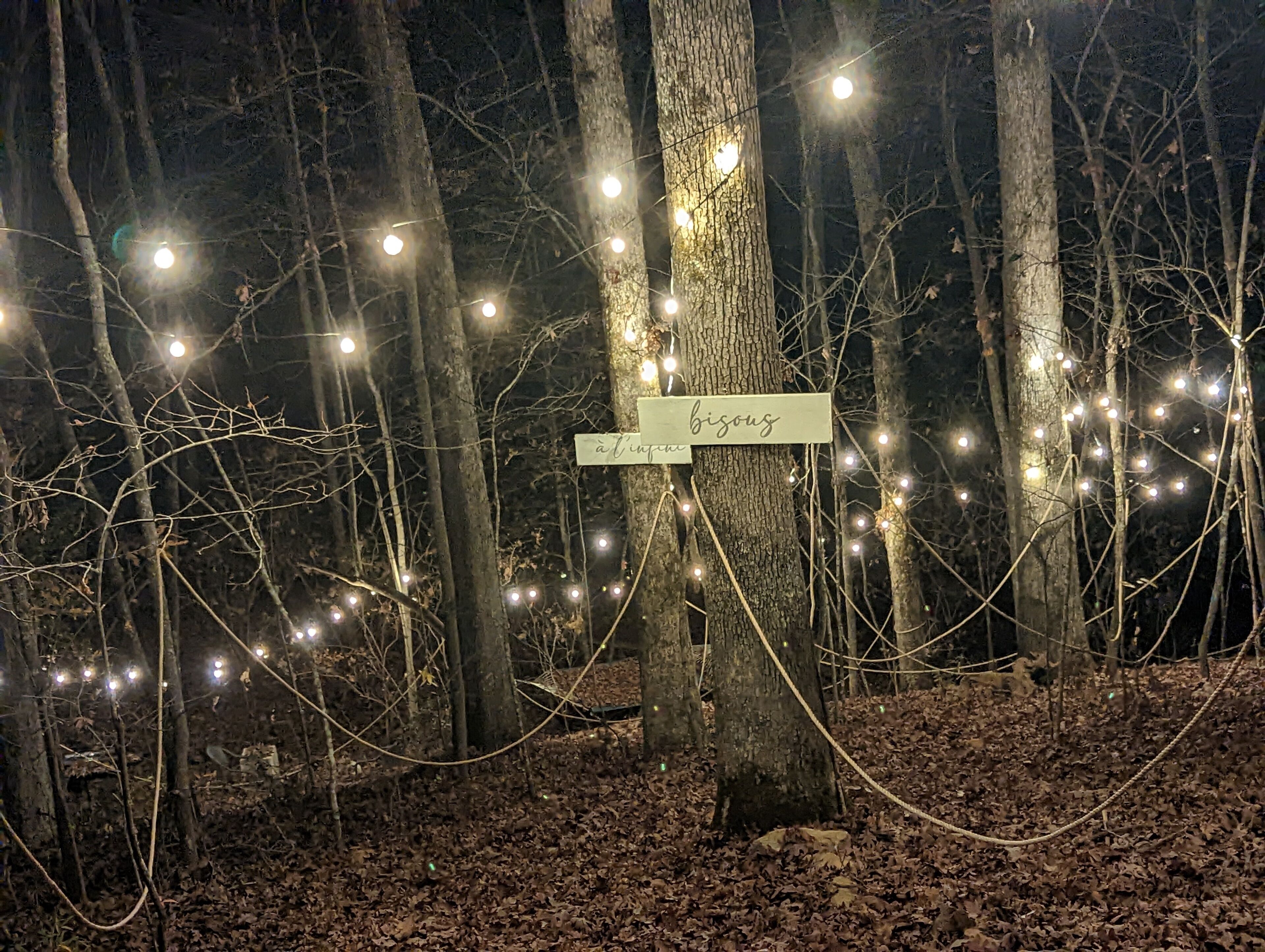 Une forêt avec des arbres et des guirlandes lumineuses. Il y a deux panneaux accrochés aux arbres, l’un porte l’inscription « bisous » et l’autre « à l’inconnu ».