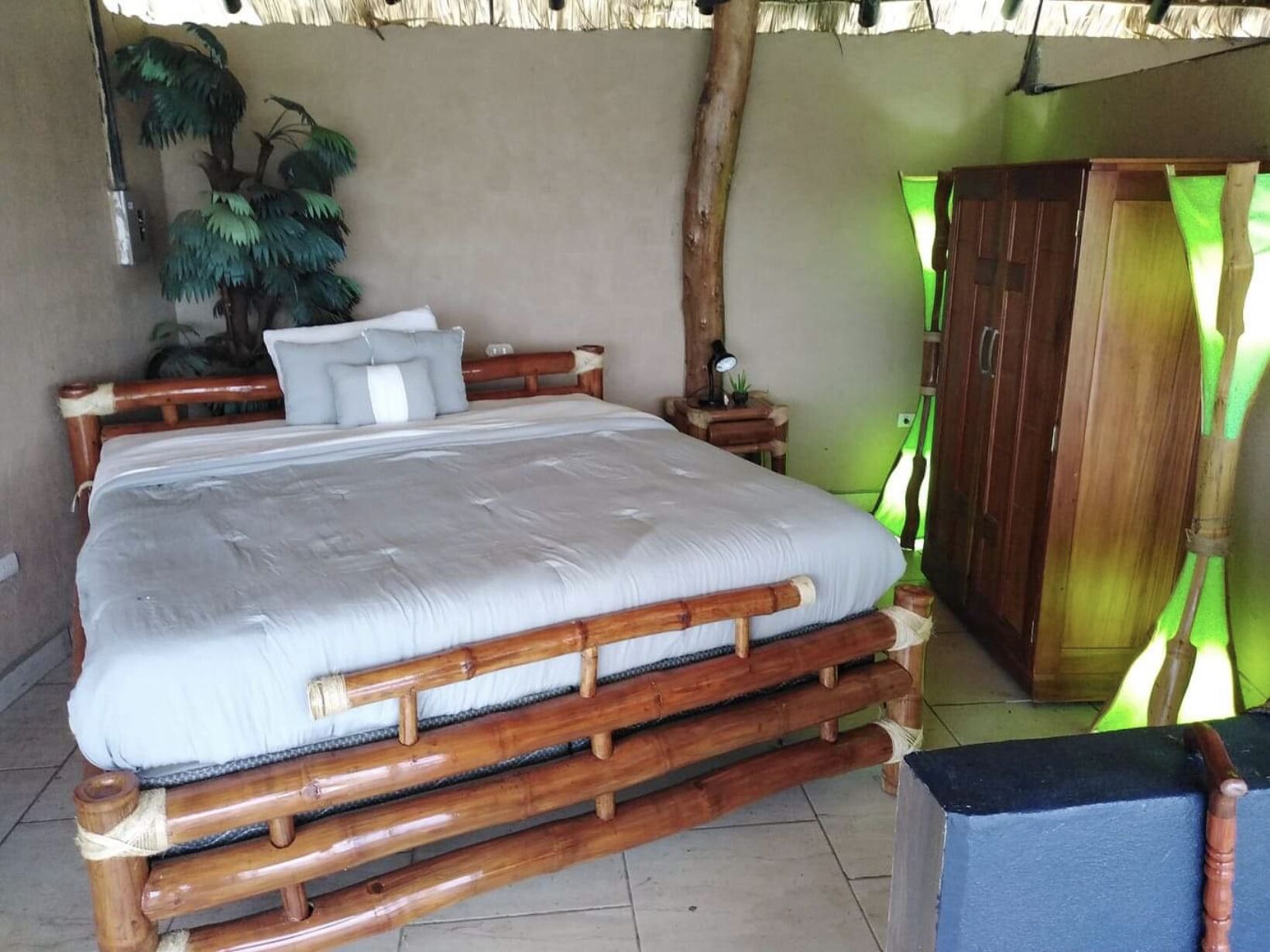 Una cama con estructura de madera y colchón blanco, una mesita de noche con lámpara, una planta en maceta y un armario.