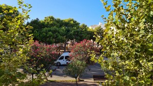 Una camioneta blanca estacionada en un parque con árboles y flores rosadas.