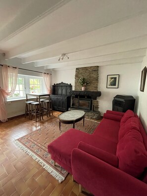 電視、壁爐、DVD 播放機、足球機