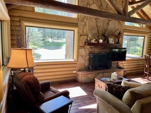 Smart TV, fireplace, DVD player, books