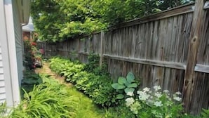 Een smal tuinpad afgegrenzd door een houten omheining, met verschillende groene planten en struiken.