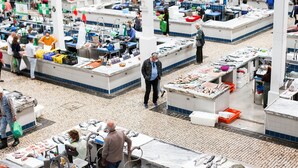Ein lebhafter Fischmarkt mit mehreren Ständen, an denen Meeresfrüchte verkauft werden.