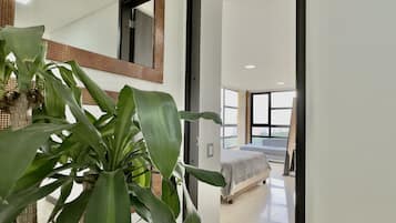 4 quartos, roupa de cama