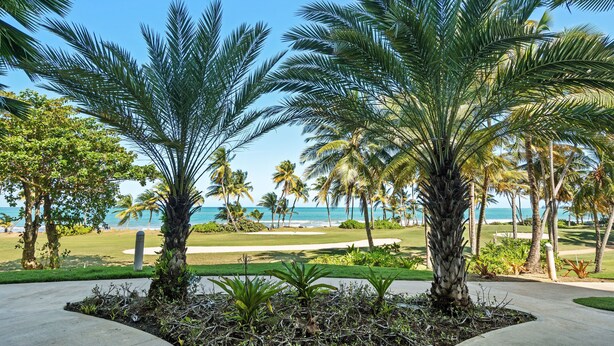 Un complexe hôtelier tropical doté de palmiers, d’un terrain de golf et offrant une vue sur l’océan.