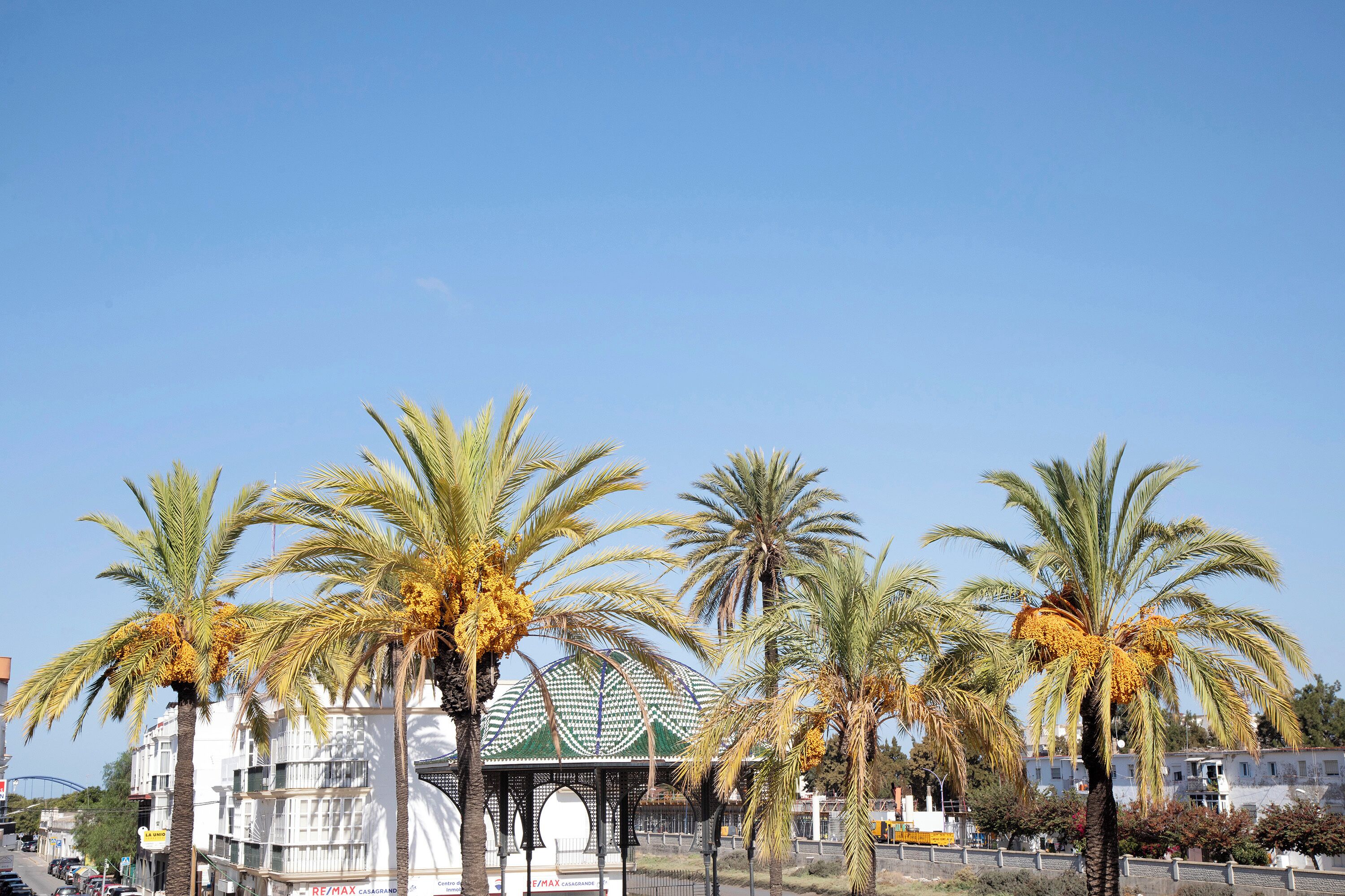 Photo - Casa De La Vega Suites