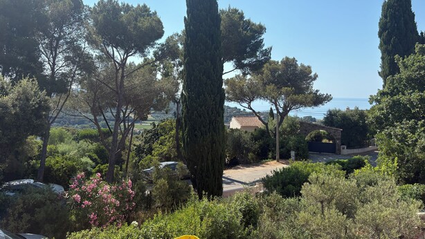 Ein Garten mit hohen Zypressen, verschiedenen Sträuchern und Blick auf das Meer im Hintergrund.