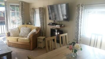 Smart TV, video games, DVD player, books