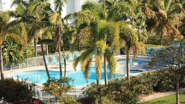 Een zwembadomgeving omringd door palmbomen en een witte hek.