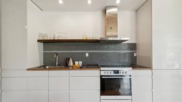 Fridge, stovetop, cookware/dishes/utensils