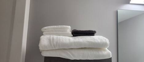 Hair dryer, towels, soap, toilet paper