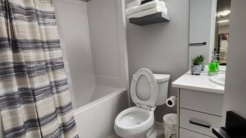 Hair dryer, towels, soap, toilet paper