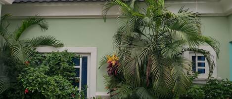 Guests can enjoy a tranquil garden setting with a variety of plants and a paved ground.