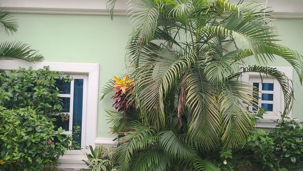 A house with a tiled roof, a front door, and a large potted plant. - Dazzle Hotels and Apartments (Abuja)