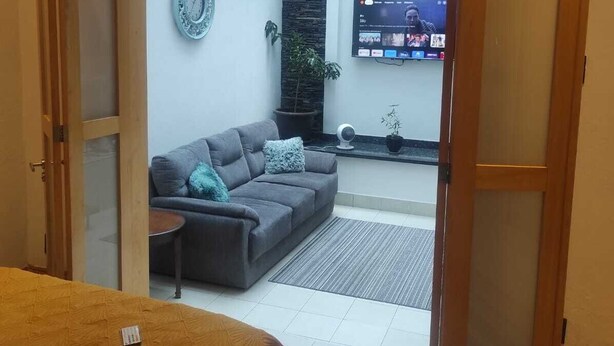 Une pièce avec un lit, un canapé gris, une télévision et une plante.