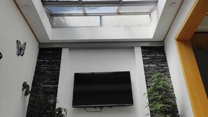 Une pièce dotée d’une lucarne, d’un téléviseur à écran plat fixé au mur et de plantes en pot.