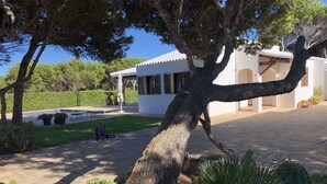 Une cour avec un grand arbre, une piscine et un bâtiment blanc orné de colonnes.