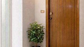 A wooden door with a light fixture above it, a potted plant beside the door, and a welcome mat on the floor.