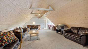 Tv, pejs, dvd-afspiller, bordtennisbord