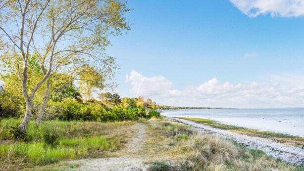 A coastal path with a sandy trail leading to the beach, surrounded by greenery and trees. - Pet friendly home in Beddingestrand (Beddingestrand)