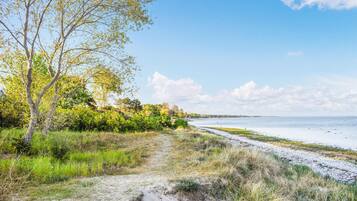 Plage Ă  proximitĂ©, pĂȘche sur place