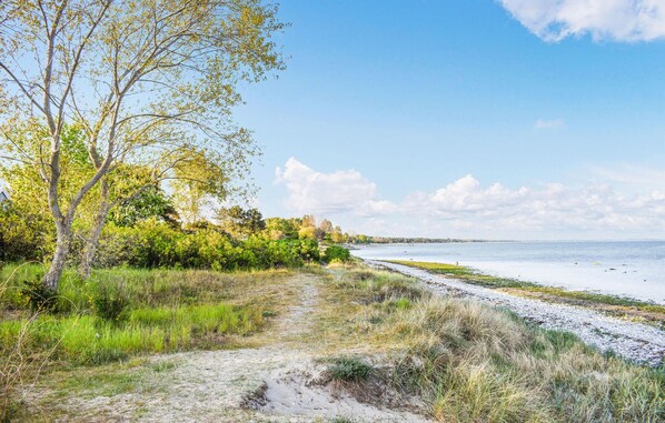 Nära stranden och fiske