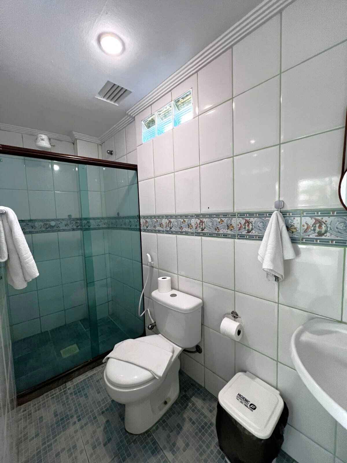A bathroom with a toilet, a bidet, a glass shower enclosure, and a sink.