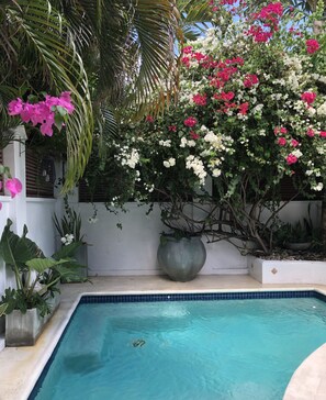 Outdoor pool - Beachfront 2 bedroom apartment with private pool -NEW LISTING (Fitts Village)