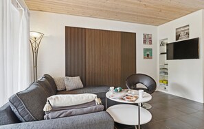 Smart-TV, Kamin