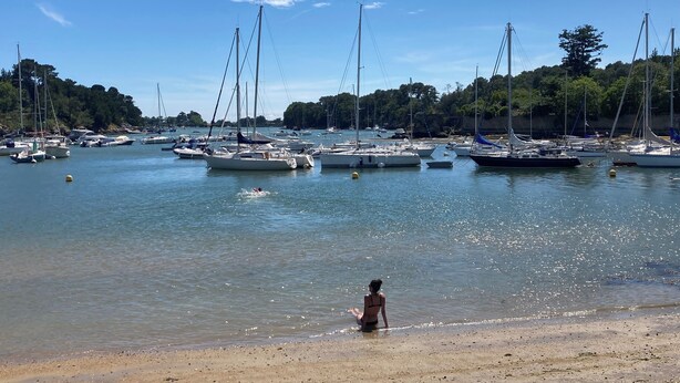 A marina with boats docked and a person sitting on the shore. - Maison Bord de mer Golfe du Morbihan (Vannes)