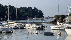 A marina with various boats docked, calm water, and a forested area in the background. - Maison Bord de mer Golfe du Morbihan (Vannes)