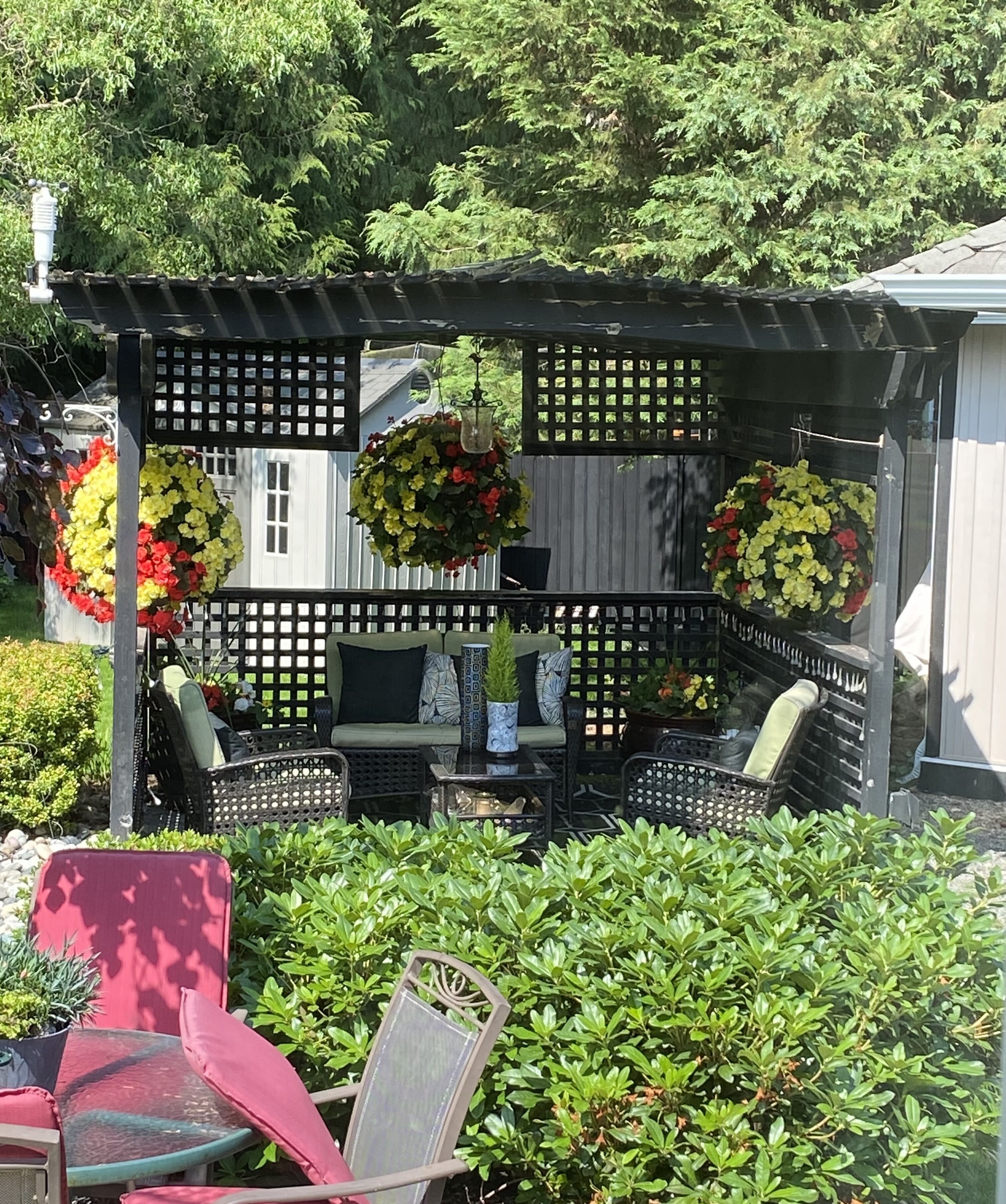 Un patio couvert avec des meubles d’extérieur, une composition florale suspendue et un espace jardin.