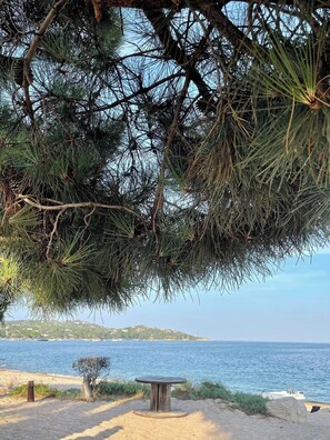 Ein Strand mit einem Holztisch und einer Kiefer in Vordergrund.