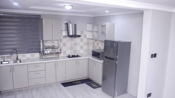 Fridge, microwave, stovetop, electric kettle