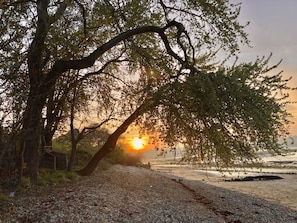 Un camí de grava que condueix a una platja, amb arbres a un costat i un capvespre al fons.