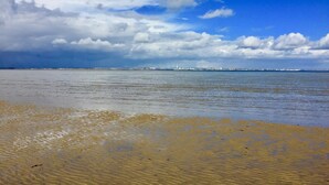 Een strand met heldere lucht en rustig water.