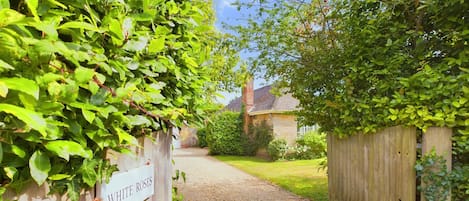 Lägenhet | 1 sovrum