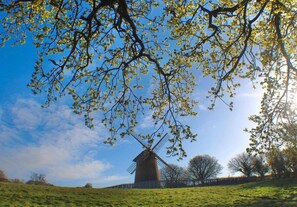 Un moulin à vent sur une colline verdoyante, sous un ciel dégagé.