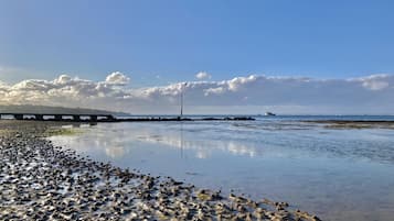 Apartment | 3 bedrooms