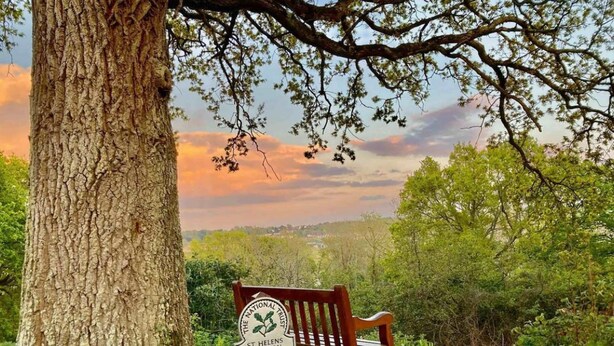 A bench with a sign reading "The National Trust St. Helens Common" in a natural setting with trees and greenery. - Coastal East View in St Helens (Ryde)