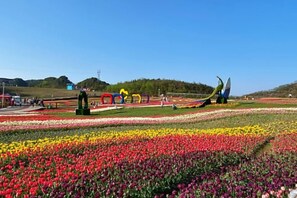 Unclassified image, 2 of 28, button - Flower Seasons Hotel (Dafang)