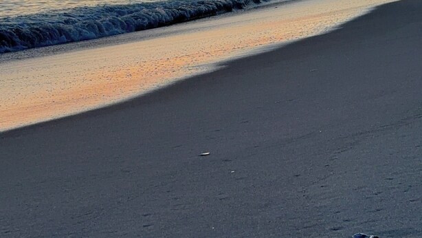 Ein Strand mit untergehendem Himmel im Hintergrund.